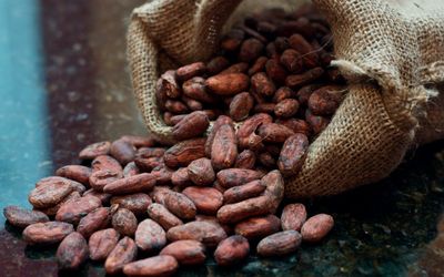 Ghana’s cocoa production relies on the environment, which needs better protection