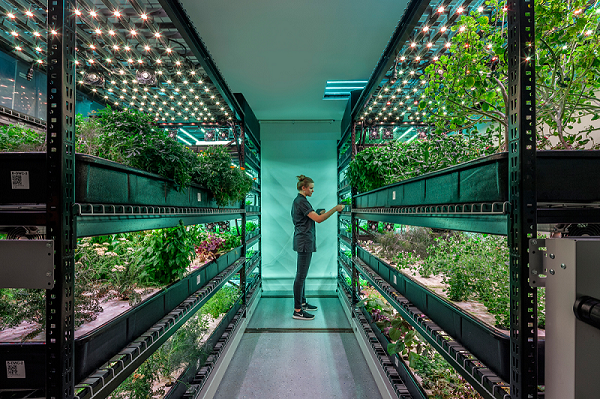 The future of farming is moving indoors. Here's why- 