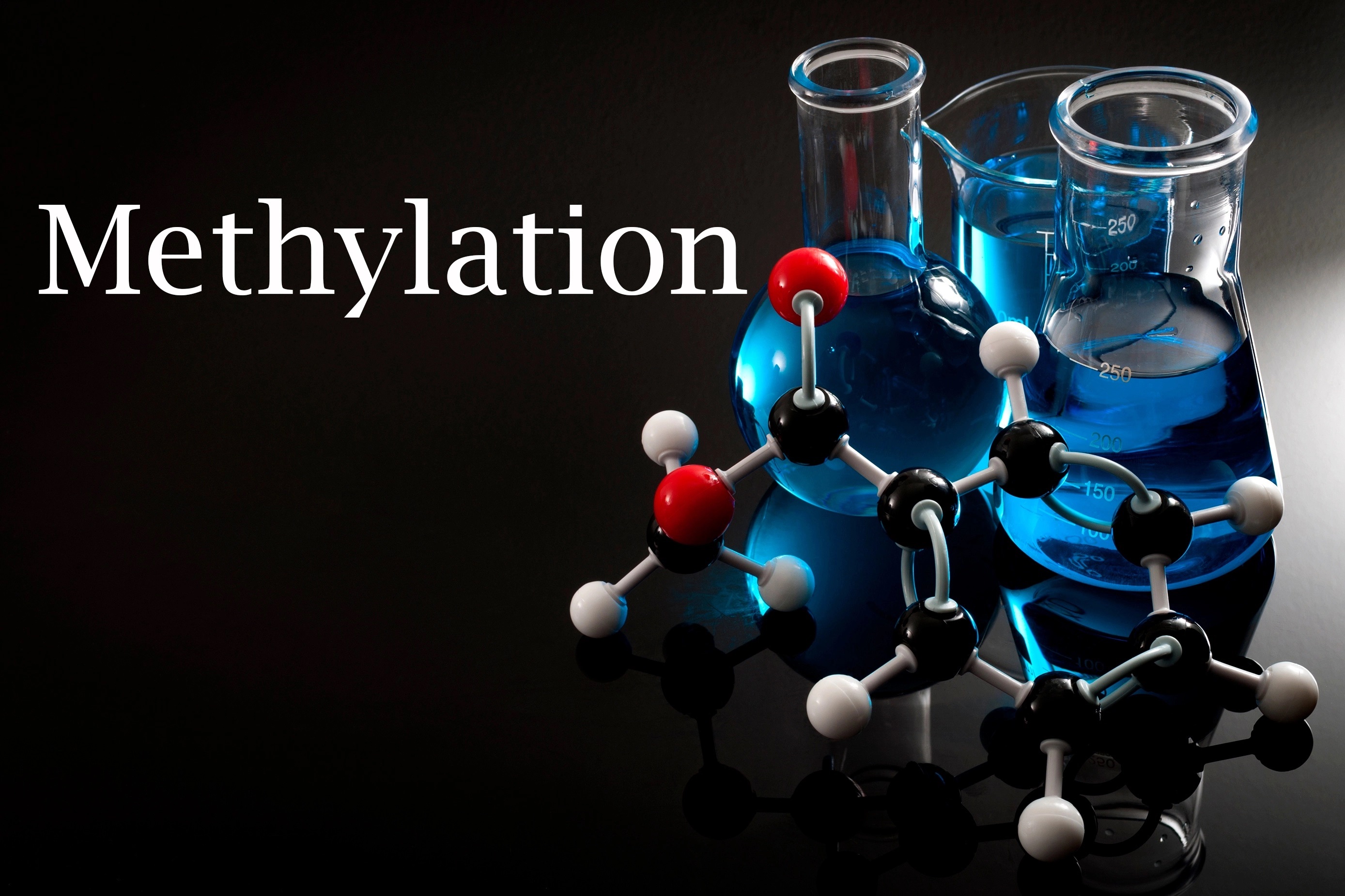 What is Methylation and Why Should You Care About It?