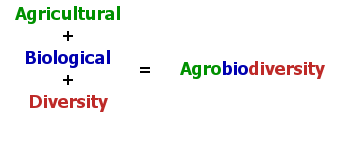 How Can Agrobiodiversity Help Safeguard Sustainable Food Systems?