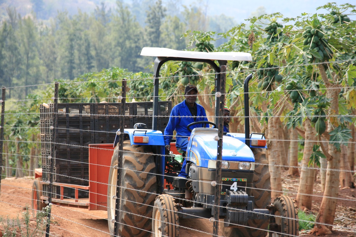 Small Scale Farming is the Answer to feeding the world