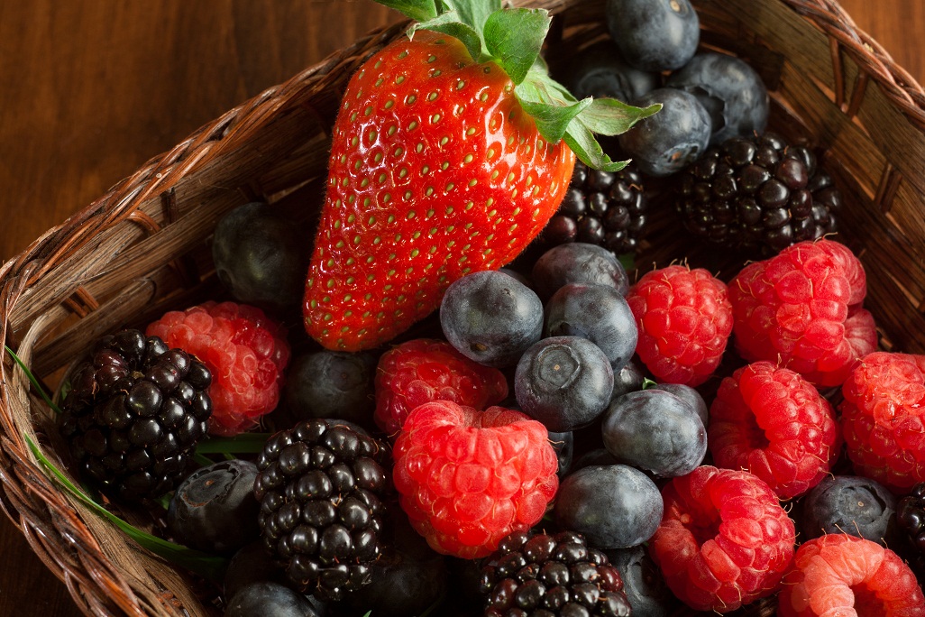 OVERVIEW GLOBAL BLUEBERRY MARKET- May 2021
