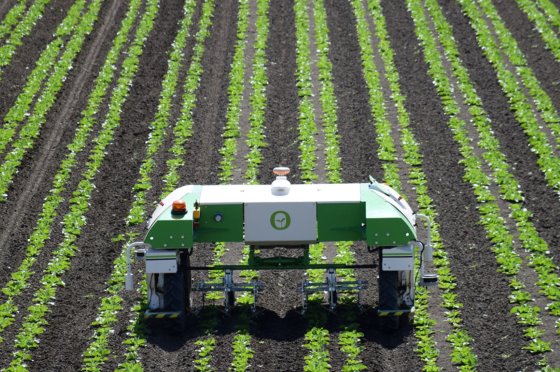 California dreamin’: a French weeding robot in America