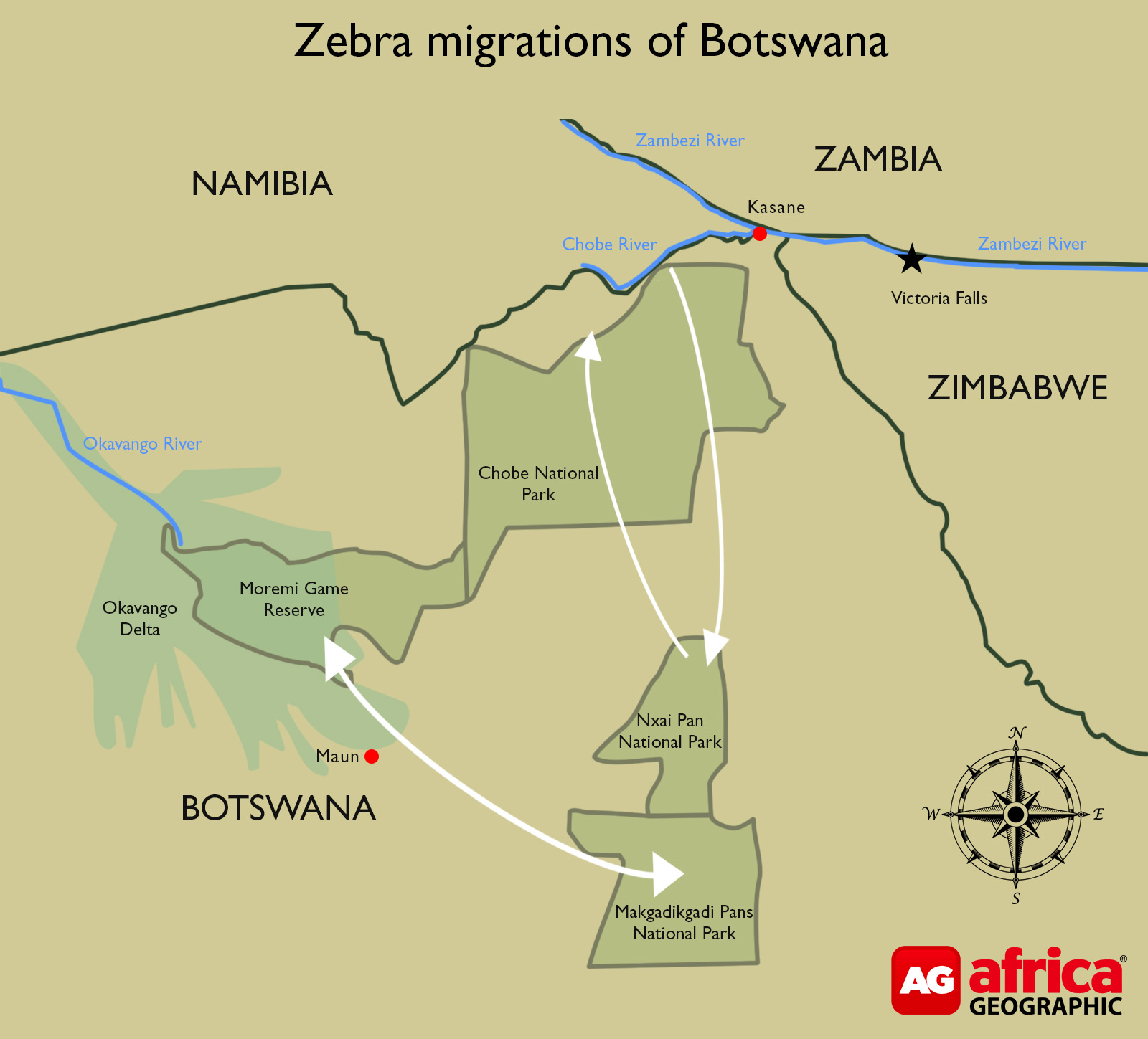 Botswana’s zebra migrations