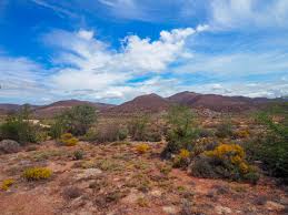 Die Klein Karoo in ’n wurggreep - Suid Afrika