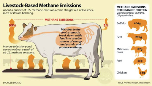 Methane, manure and a net-zero pledge