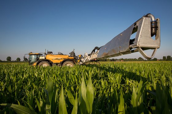 Nanosatellites detect early-season nitrogen stress in corn