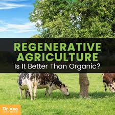 A GLOBAL SHIFT TO REGENERATIVE AGRICULTURE CAN: