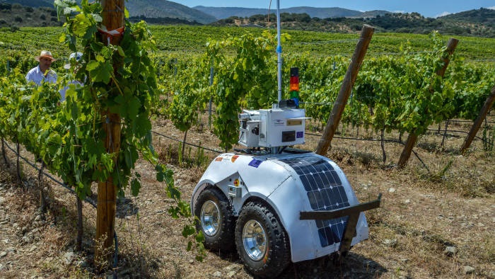 Winemakers tackle climate change and labour shortages with tech