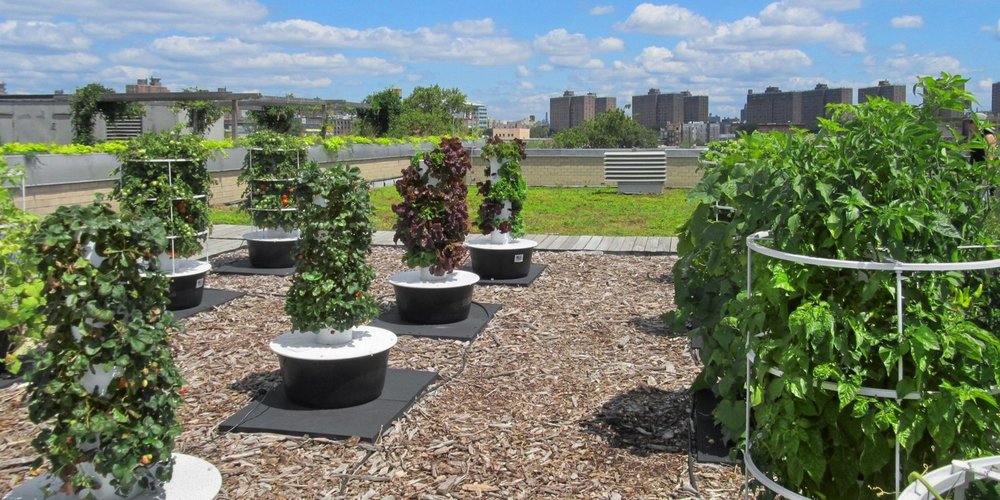 Farms of the future- Paris