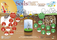 Soil is the stomach of the plant