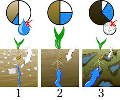 Counting the cost of soil compaction