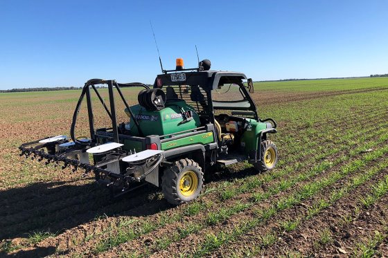AutoWeed develops spraying robot for sugarcane farms