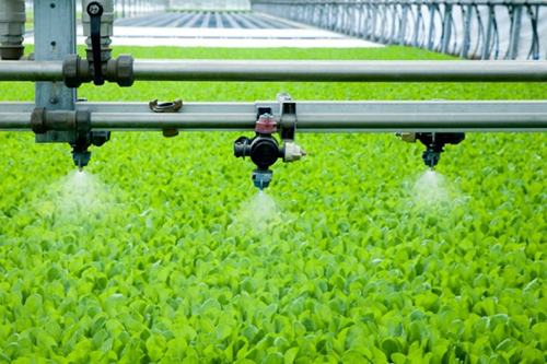 Welcome To The New World Of Digital Agriculture