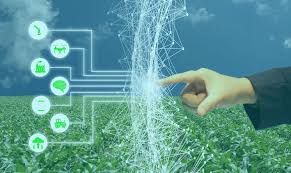 Artificial Intelligence in Agriculture: