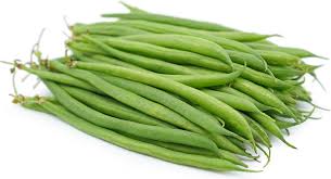 Food for thought? French bean plants show signs of intent, say scientists