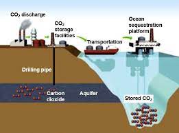 What Is Carbon Storage?