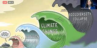 Dublin deer herd first in Europe to be infected with COVID-19 virus, raising concerns about further spread