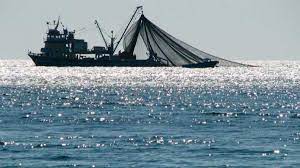 Overfishing, Conservation, Sustainability, and Farmed Fish