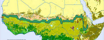 The Great Green Wall could save Africa. But can the massive forestry effort learn from past mistakes?