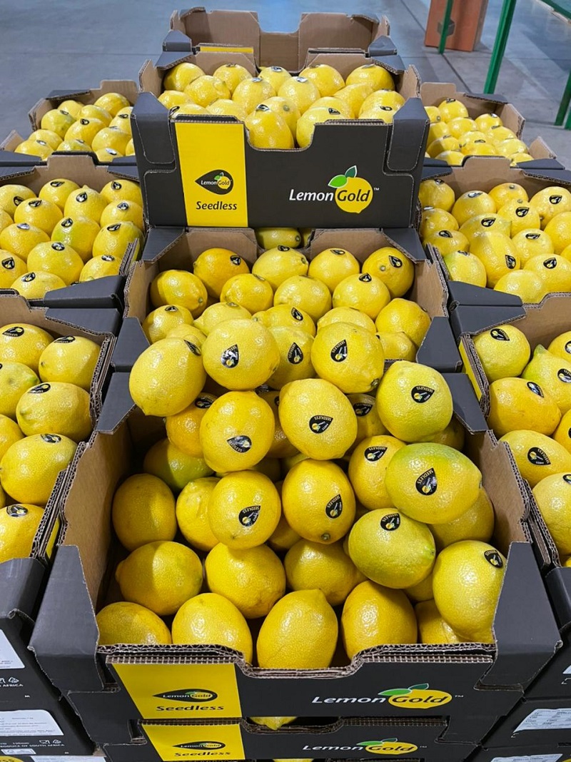 SEEDLESS LEMONS – THE HOLY GRAIL OF FRESH PRODUCE