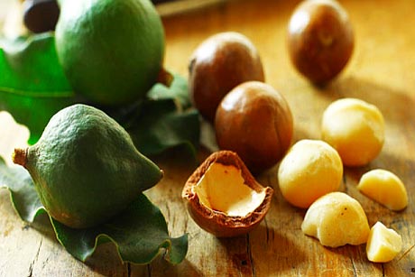 Macadamia factory success is testament to what collaboration can achieve