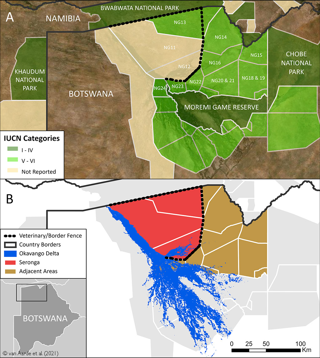 Did fences cause the elephant deaths in Botswana?