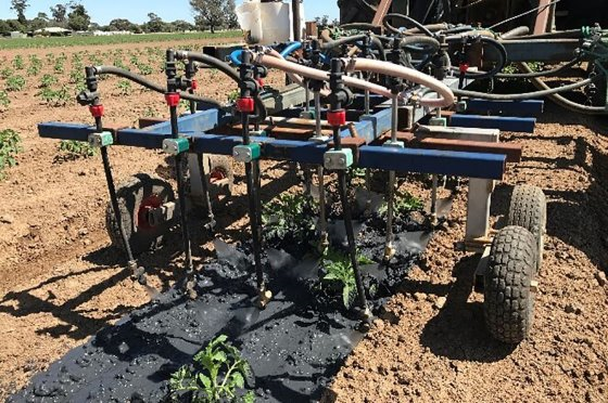 The technology that could stop the use of plastic mulch