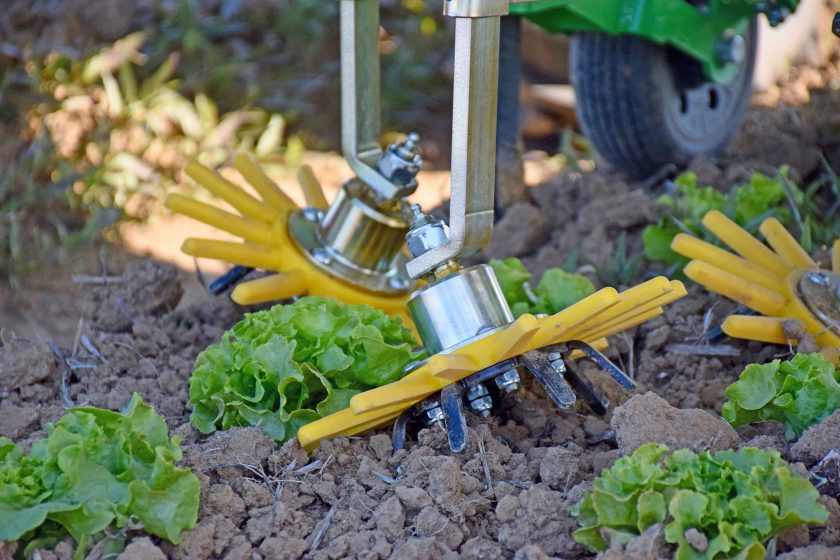 Dino: agri-robot tool holder