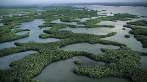 Industrial agriculture threatens a wetland oasis in Bolivia