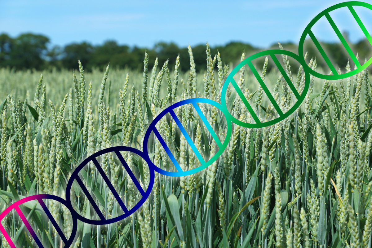 Genomics strategies for germplasm characterization and the development of climate resilient crops