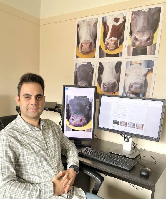 Facial recognition for cattle on the way