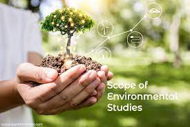 What are the Different Types of Environmental Science?