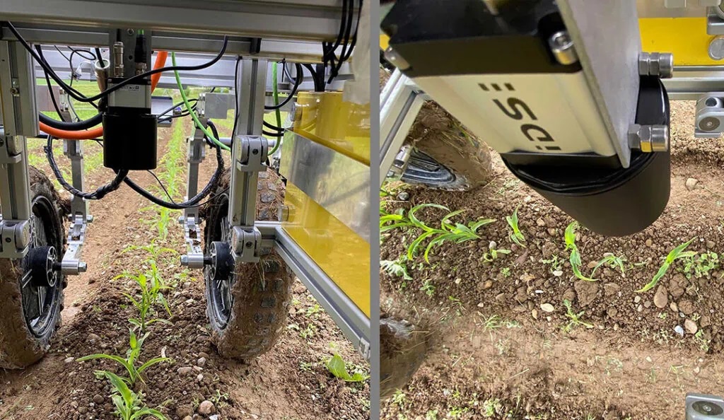 Robot with IDS camera eliminates the need for herbicides