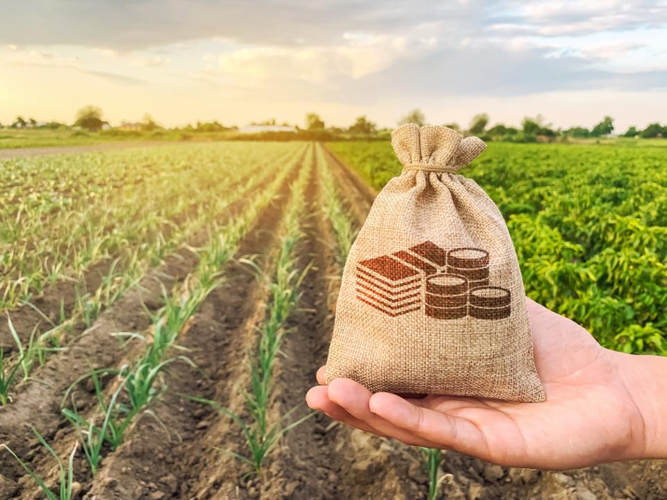 Land tax on underutilised land on the cards again? - South Africa