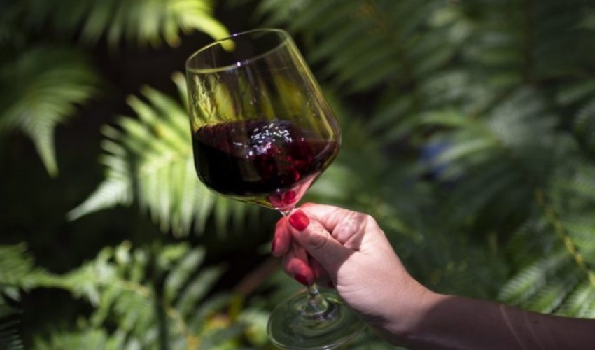 Wine and sulphur