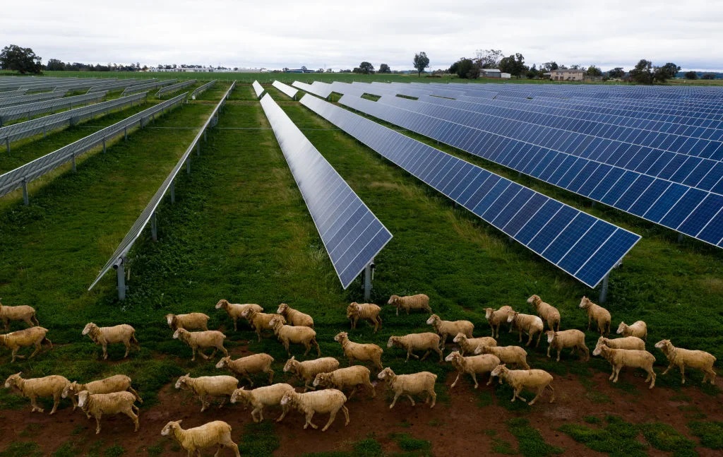 Researchers see a future for agricultural solar parks, but also challenges