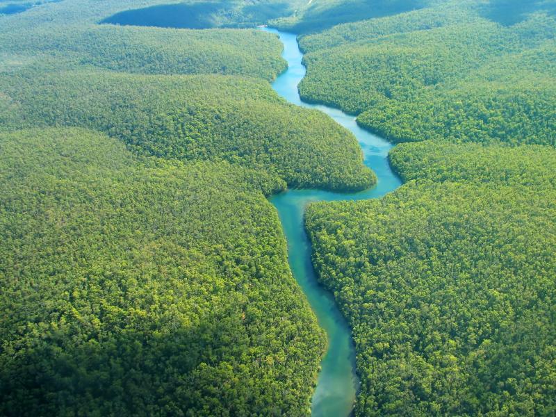 Here’s Why the Amazon is So Important for Global Food Security