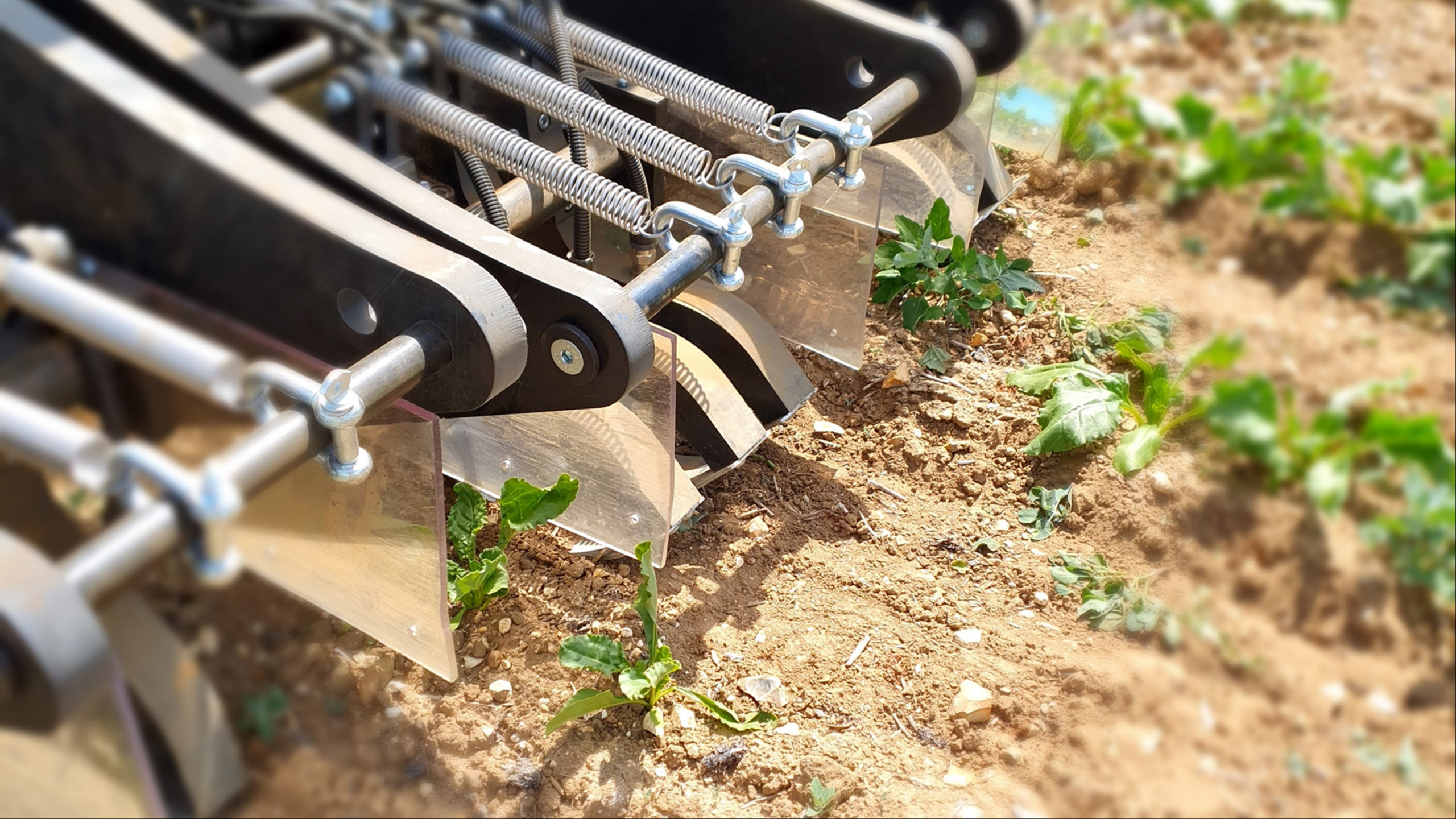 WHAT IS ELECTRIC WEED CONTROL AND HOW DOES IT WORK?