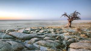 Botswana’ Makgadikgadi 