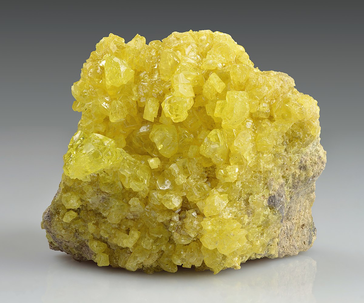 SULFUR: THE FOURTH MAJOR NUTRIENT