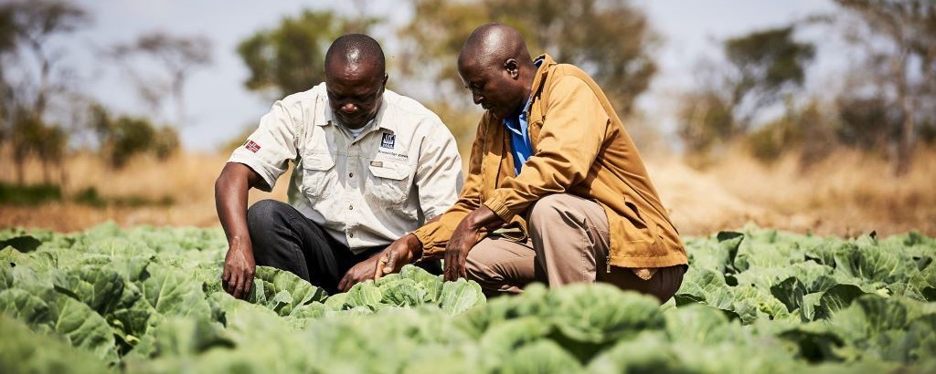Nedbank partners with African Greeneurs to empower 20 young agripreneurs
