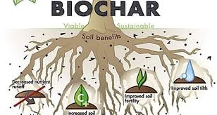 Researchers find a new use for biochar: filtering microplastics from farm soils