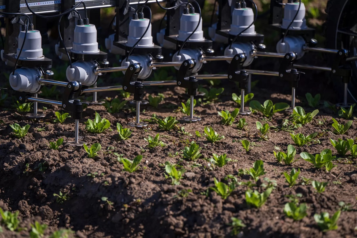 Could AI robots with lasers make herbicides — and farm workers — obsolete?