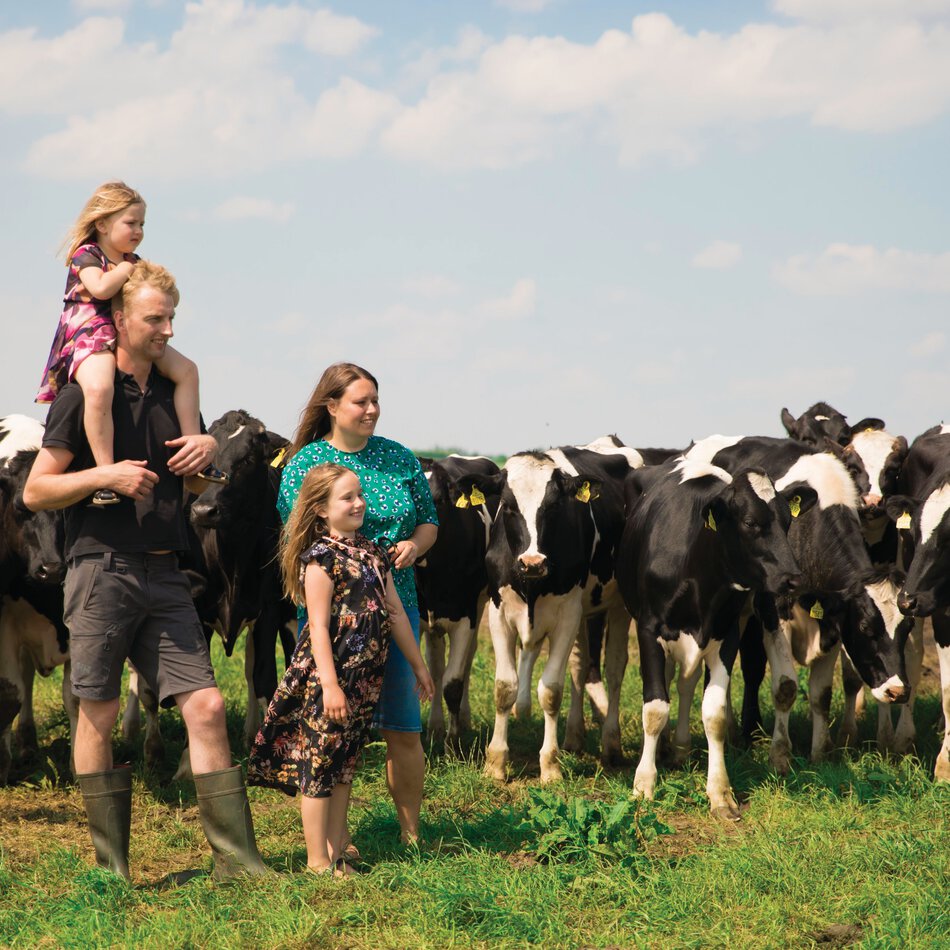 Modern family farming calls for trouble-free cows