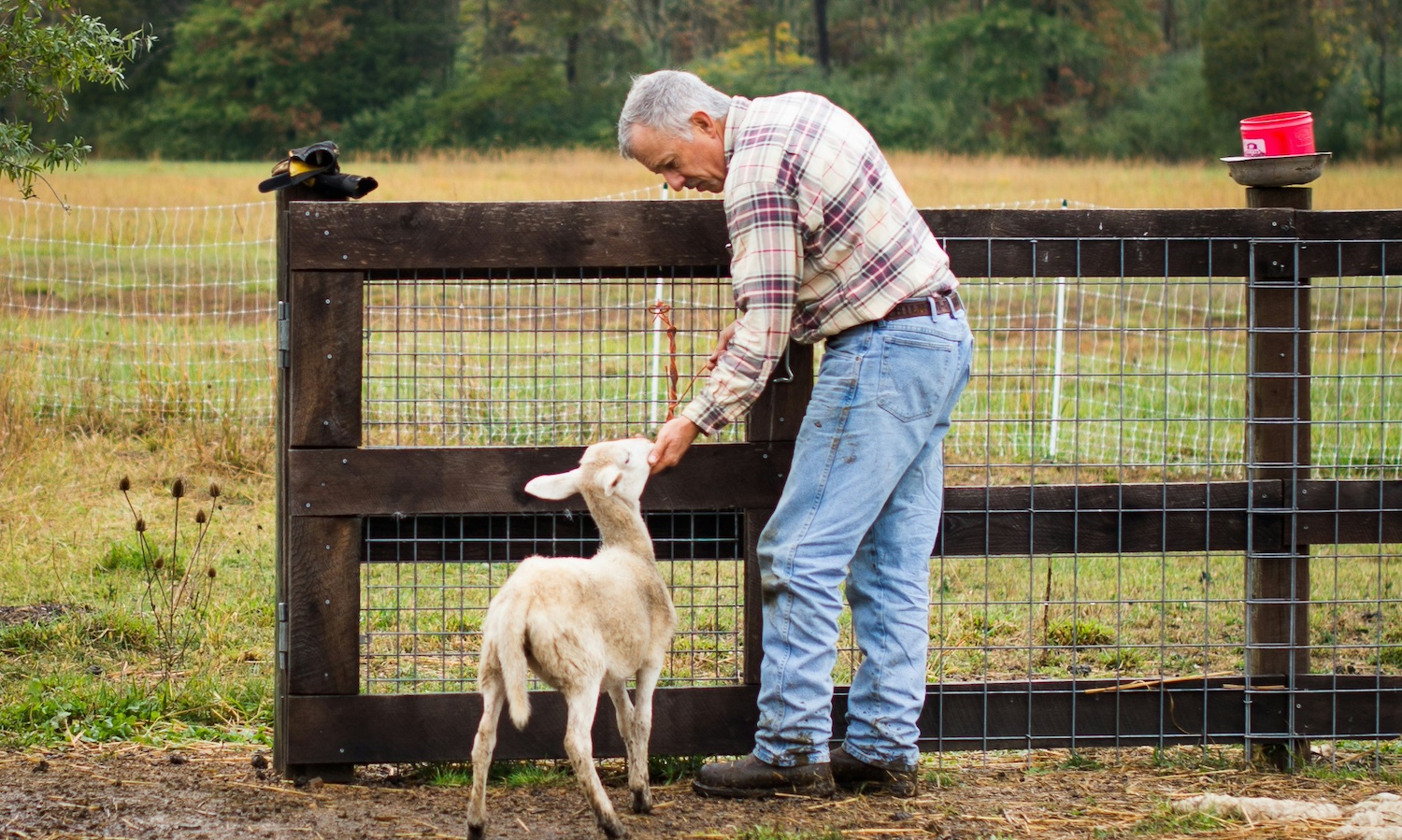 The Future of Family Farms: Navigating Generational Changes
