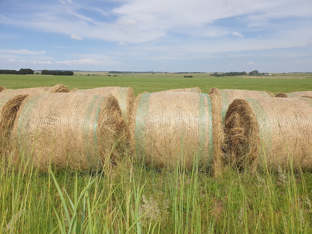 Africa’s longest-running grassland research project offers up a wealth of knowledge