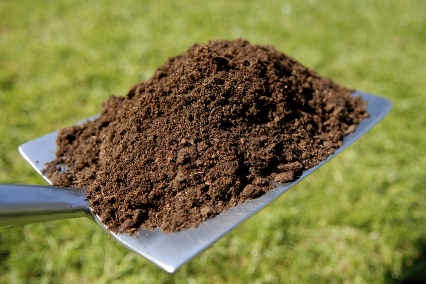 Less Intensive Farming Boosts Soil Health