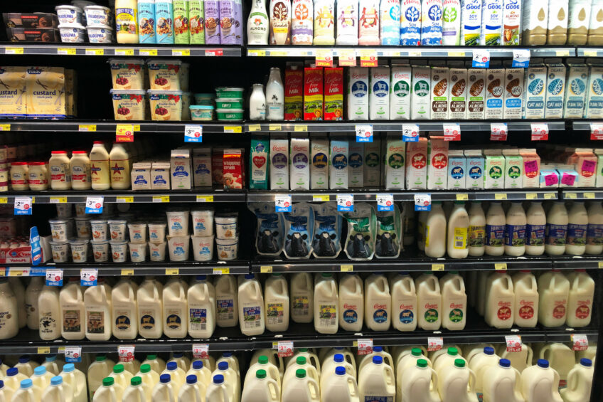 How encapsulation in cow nutrition protects and revolutionises the delivery of nutrients