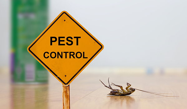 Eco-Friendly Pest Control: Biocontrol Agents Market to Surpass at USD 26.4 Billion by 2034